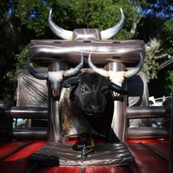 Torro Mecanico/ Mechanical Bull 