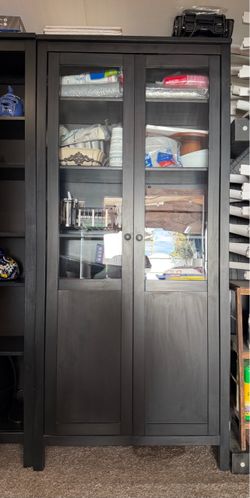 Black Wood Cabinet with Glass Doors