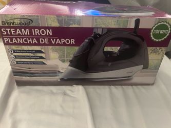 Steam iron