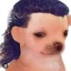 tu chiludo