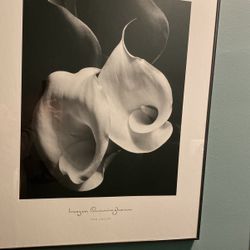 Framed Art
