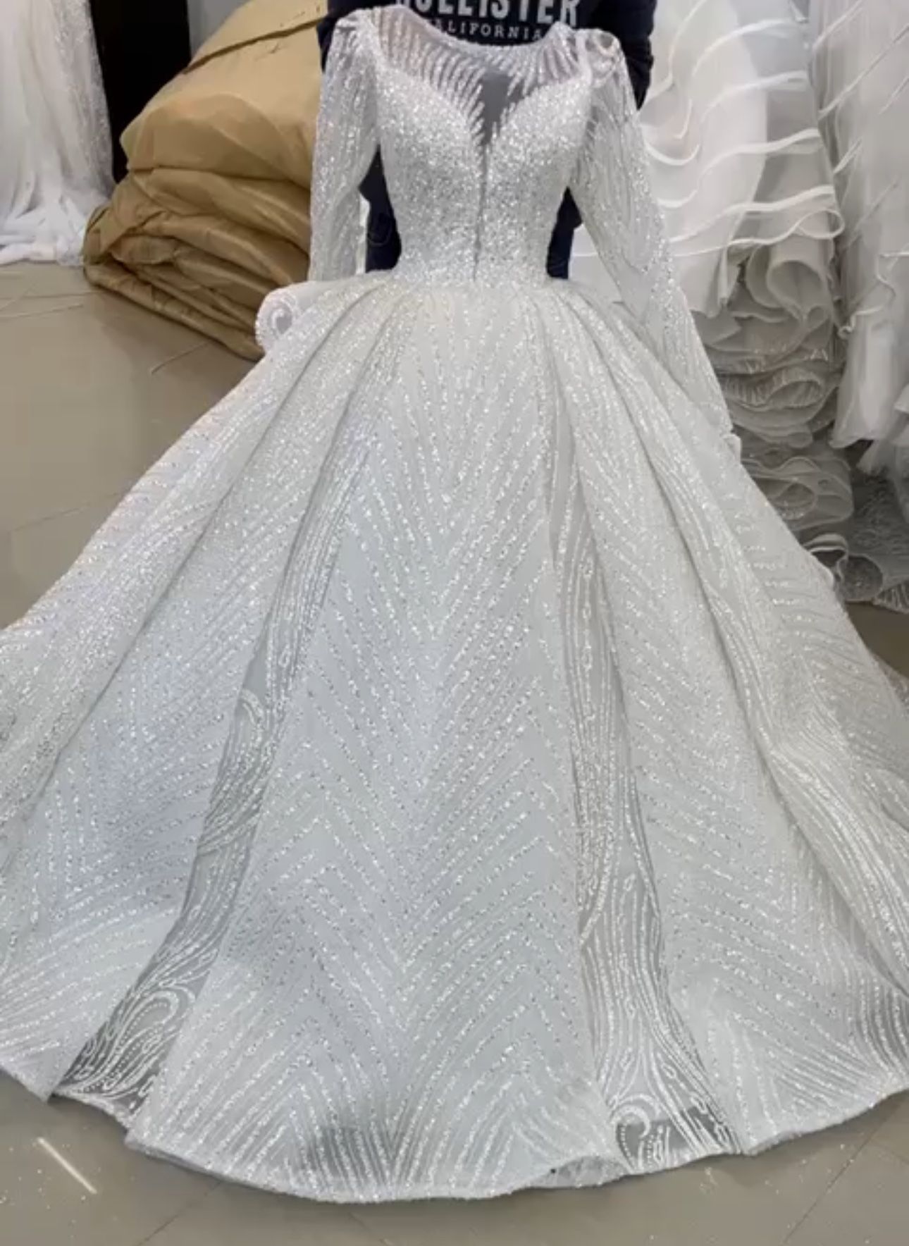 Wedding Dress & Brides Veil