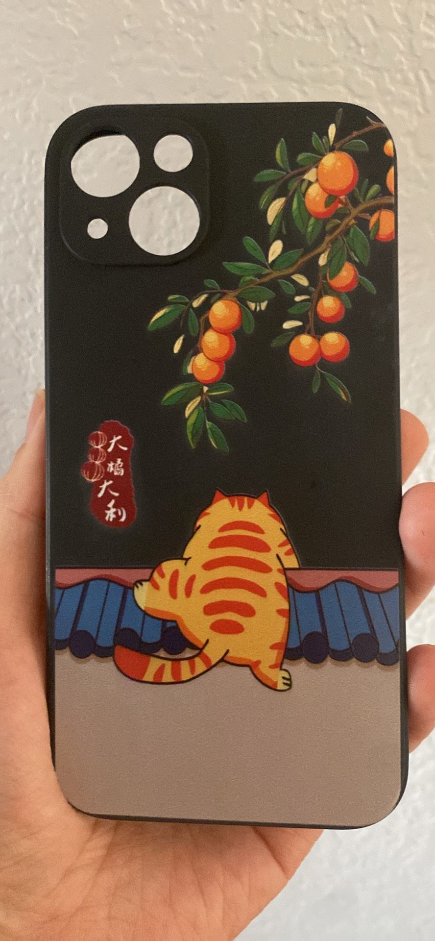 IPhone13 case