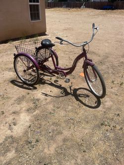 26 inch Schwinn adult tricycle