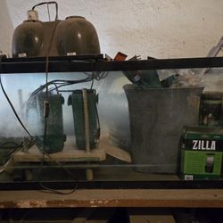 Aquatic Turtle Tank Set-up 