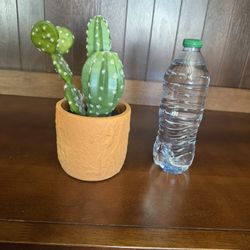  Fake Little Cactus Pot