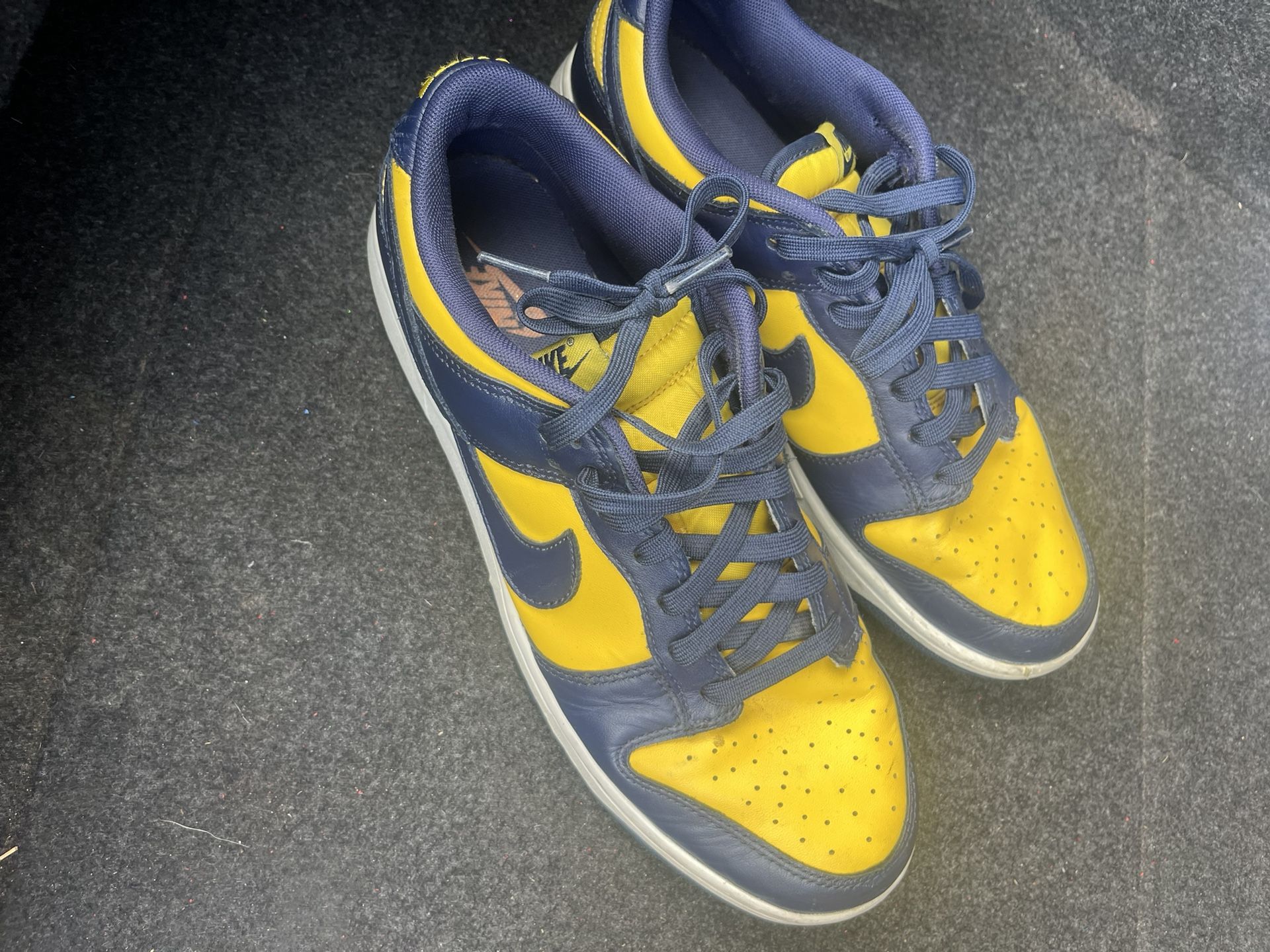 Nike Dunk Low Michigan 