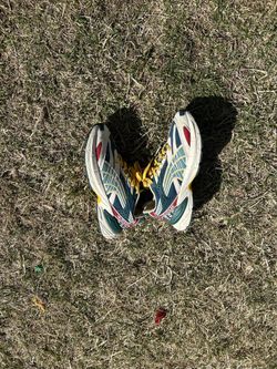 Pumas