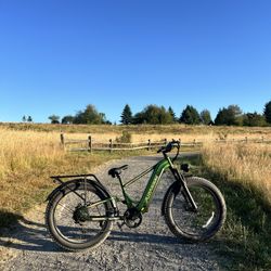 Fat Tire E-bike 