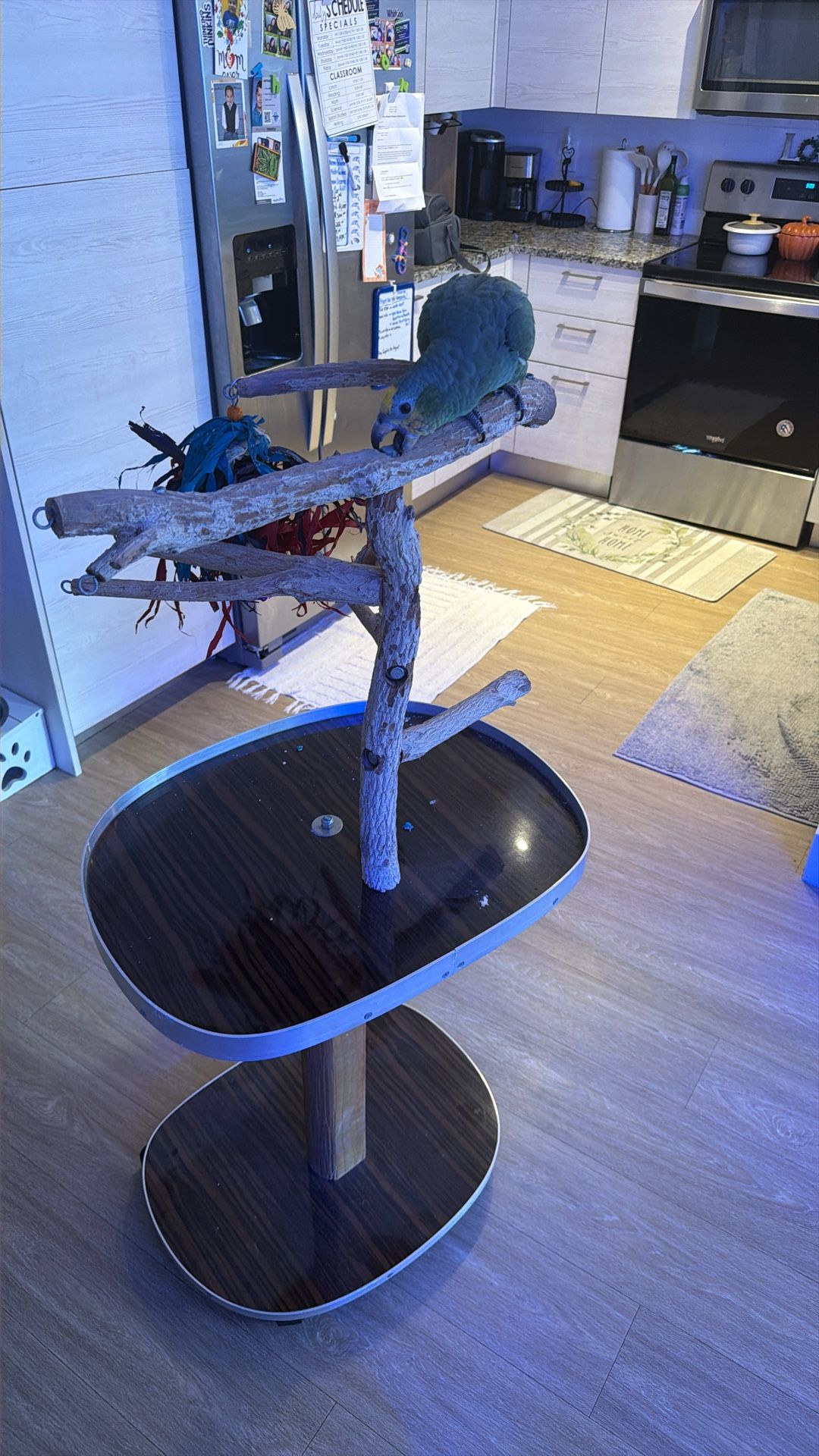 Bird Perch