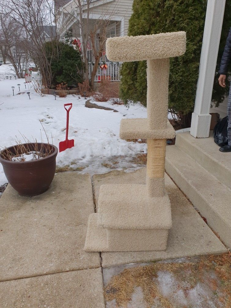 Big Cat Tree Retail Around 140$