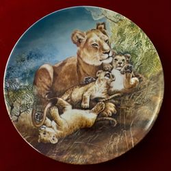 $20 Yin-Rei Hicks “A Watchful Eye”plates.