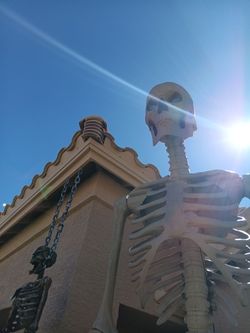 12ft skelly with original box
