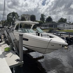 Boat - Bring Back The Shine!