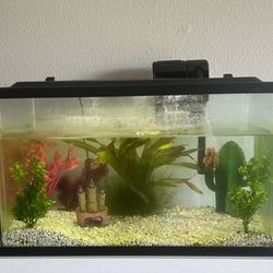 10 Gallon Fish Tank Including Everything