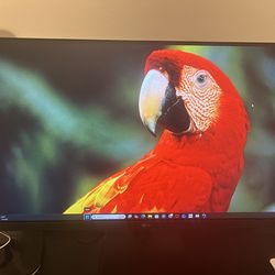 LG 27” Full HD Monitor – Model 27MS500 – Great Condition