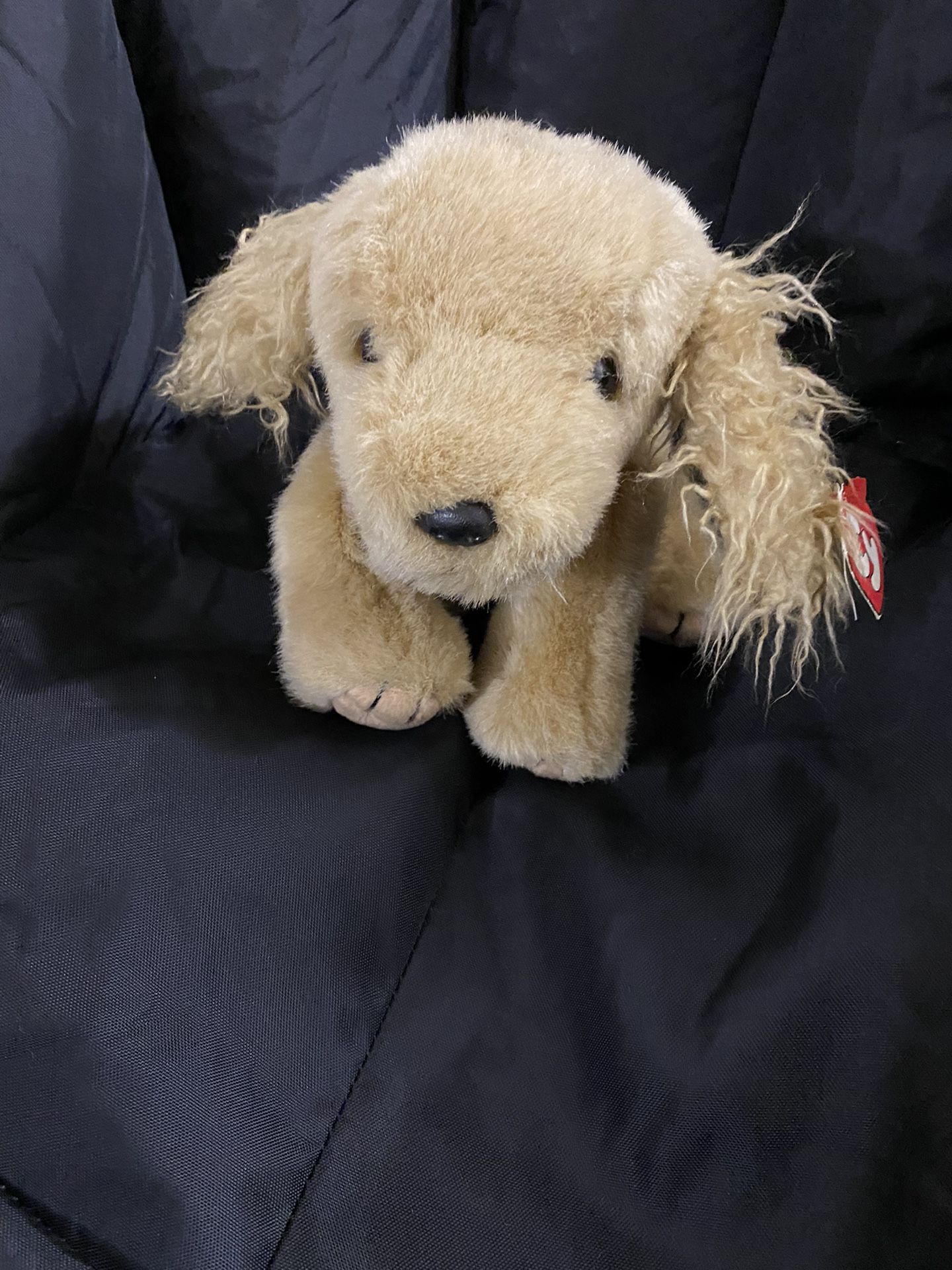 TY Beanie Baby Corky So Cute