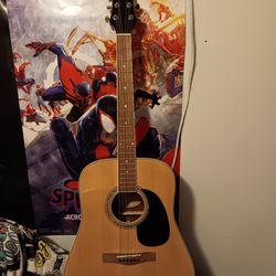 Mitchell D120PK Acoustic Guitar 