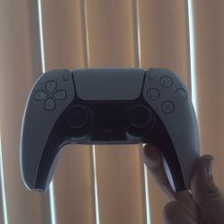 White PS5 Controller 