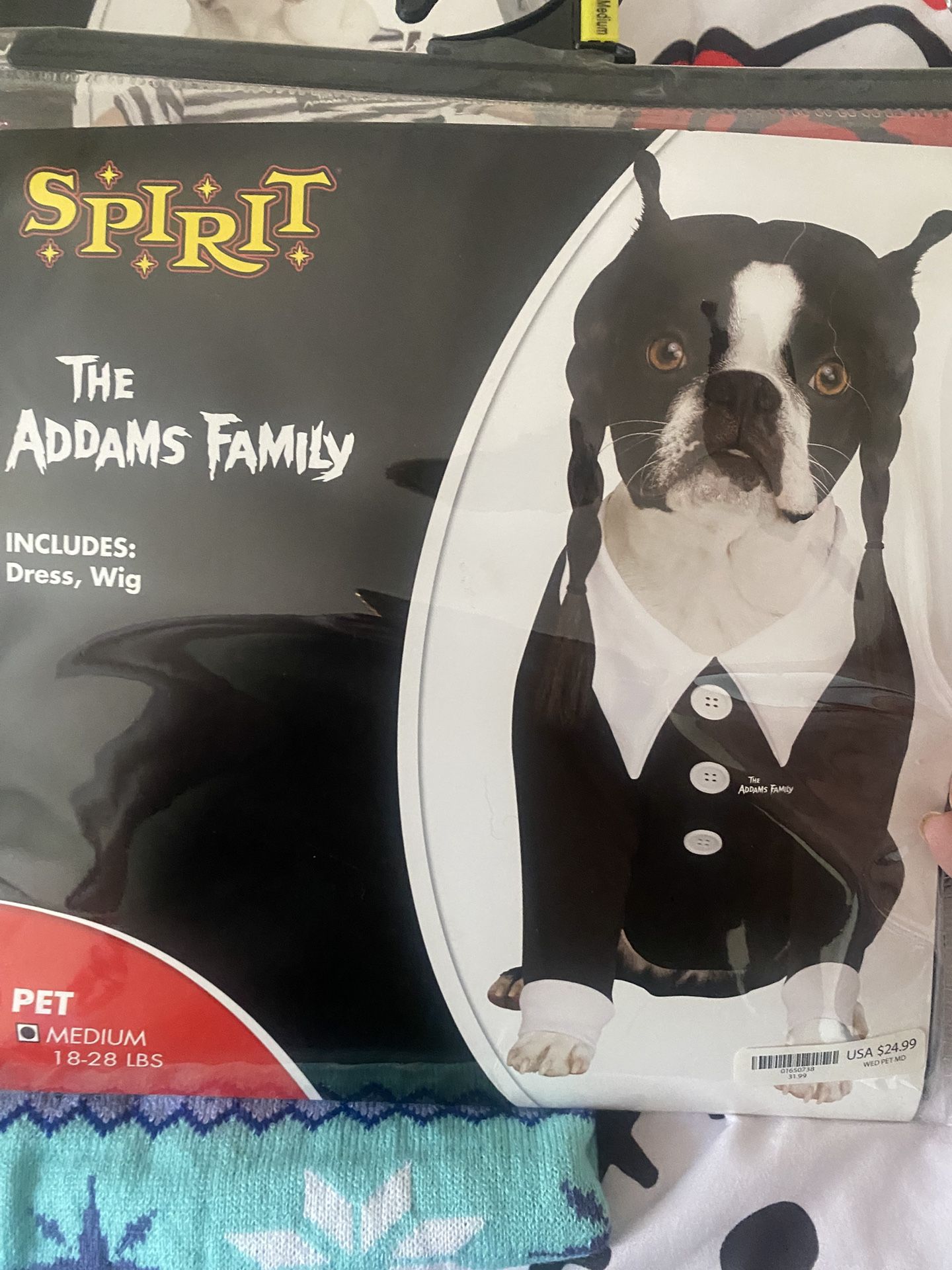 Pet Costume
