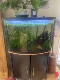40 Gal Fish Tank