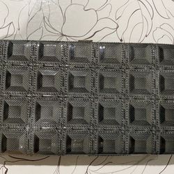 Wallet Or Clutch Purse