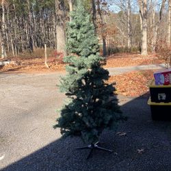 Christmas Tree