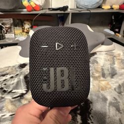 JBL WIND SPEAKER 