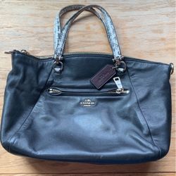 Real Coach Purse