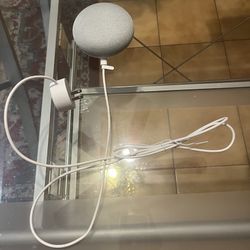 Google Home Mini