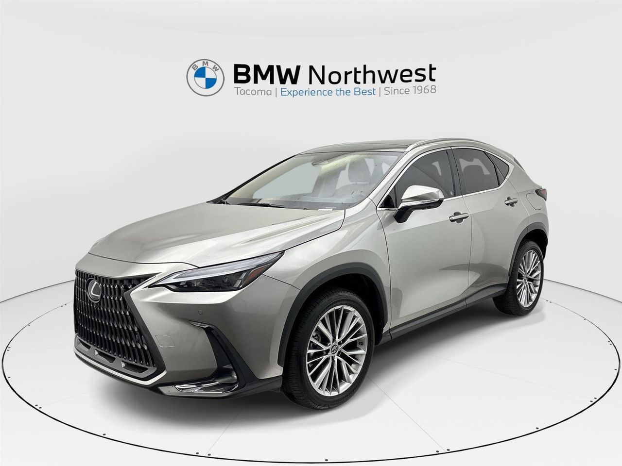 2022 Lexus NX 350