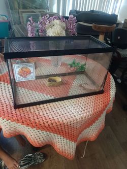 Reptile aquarium