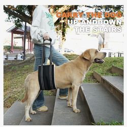 XL Dog Sling! Brand New!