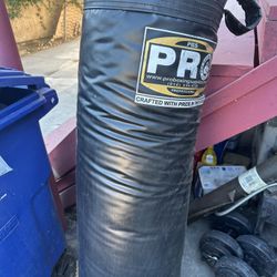 Pro Boxing 70LBS Punching Bag
