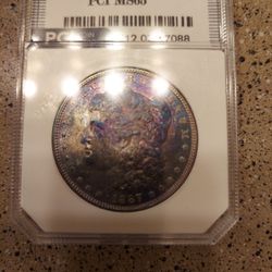 1887 Morgan Dollar