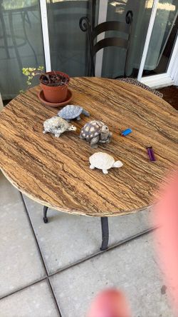 Small Table for 4