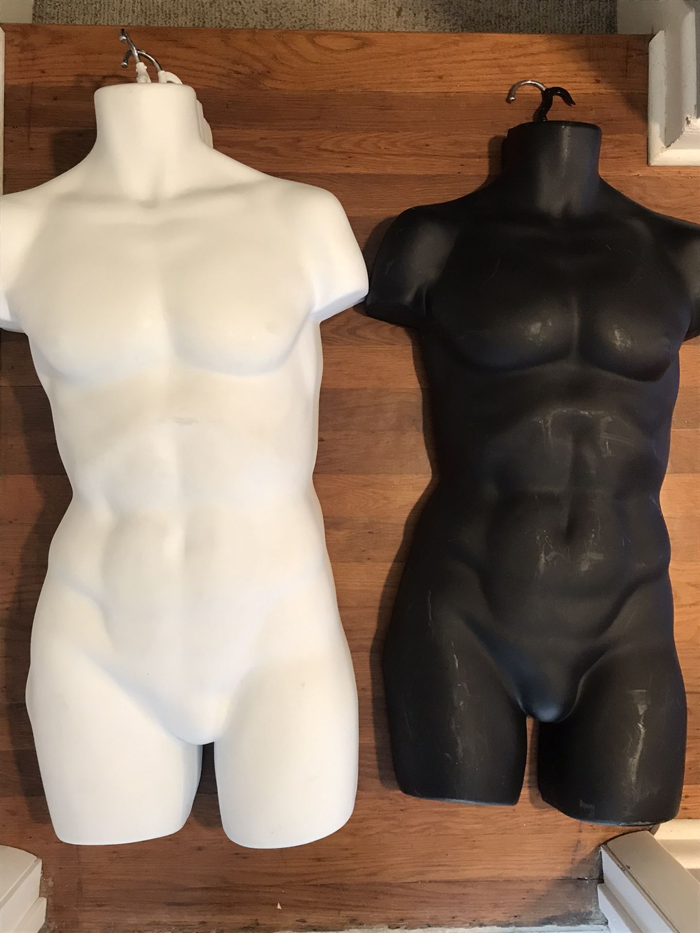 Male Torso Vinyl Mannequin
