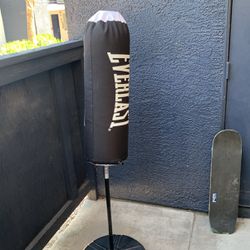 EVERLAST PUNCHING BAG with punching gloves