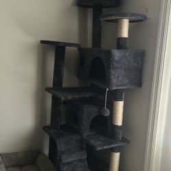 Cat gym. One Month Use . Like New