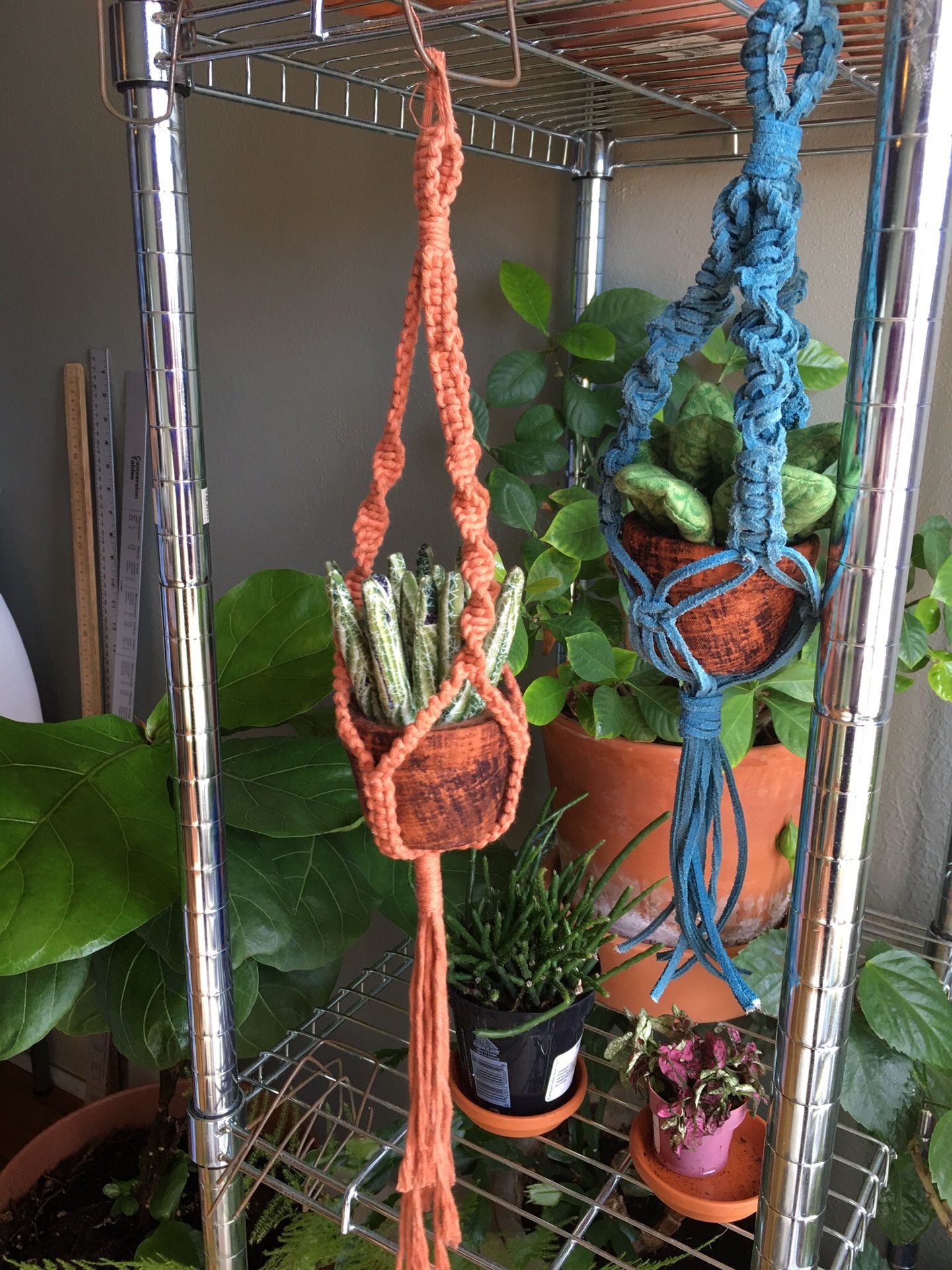 Home made Plant holder/bags