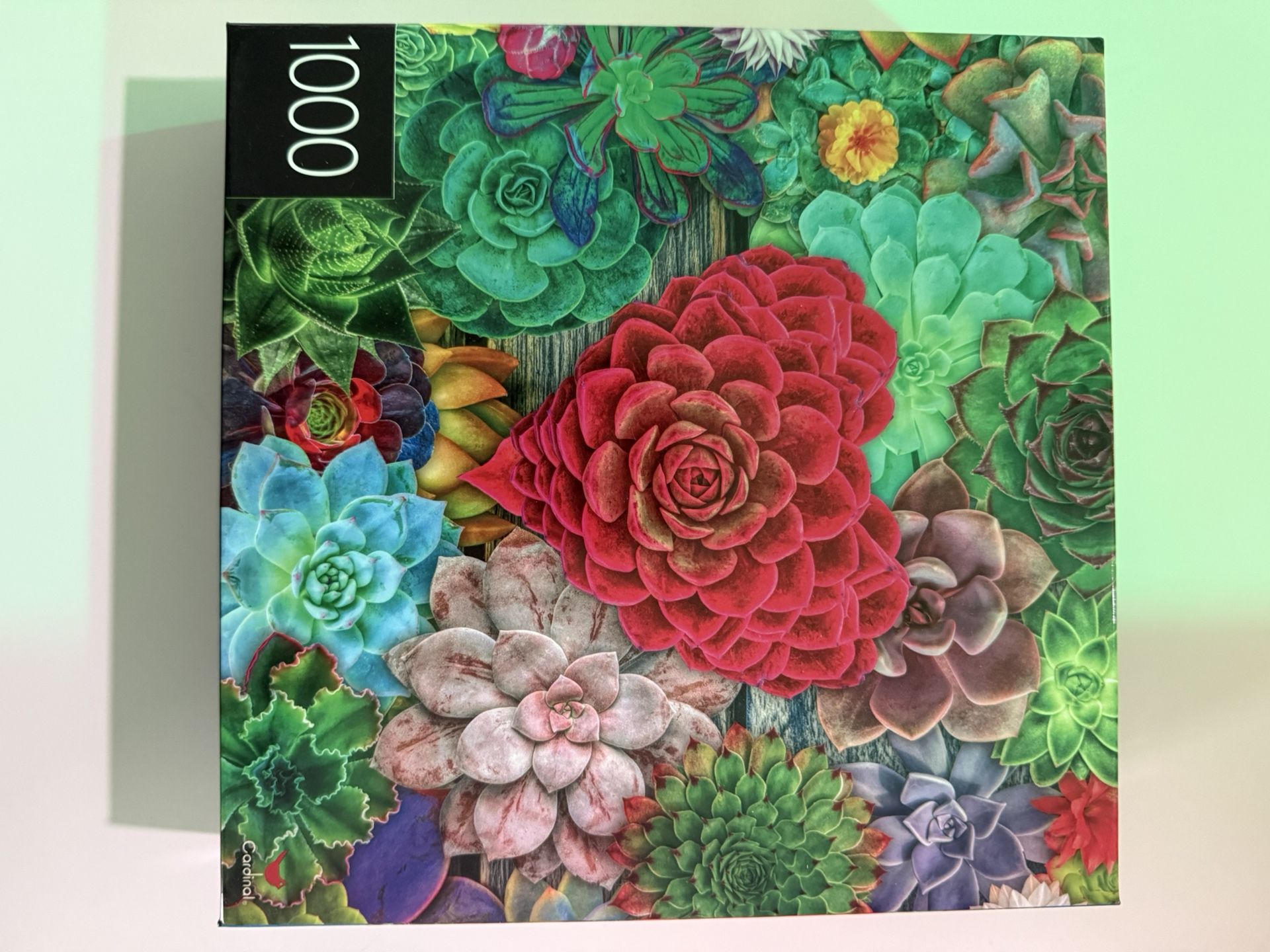 Puzzle 1000 PCs