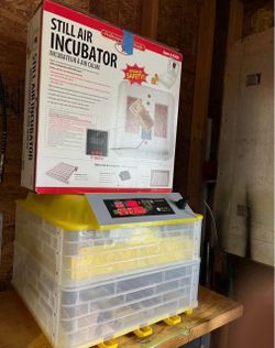 Incubator