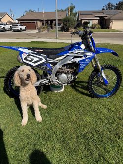 2023  Yamaha YZ 250F