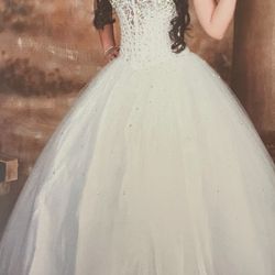 Elegant 15’s Gown/ Quinceañera Dress