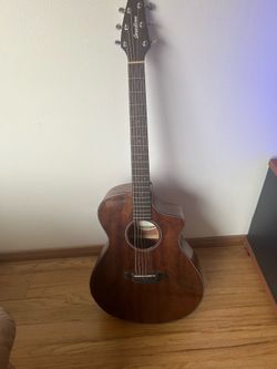 Breedlove Discovery with electric pick up and hard case