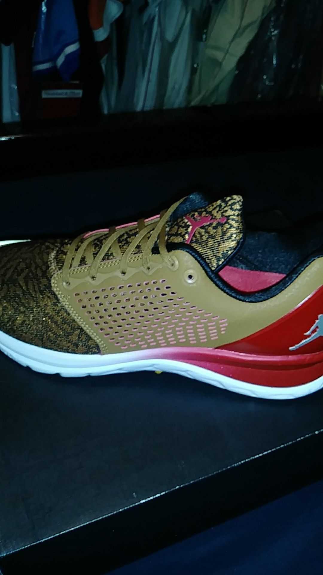 Jordan Trainer ST Prem
