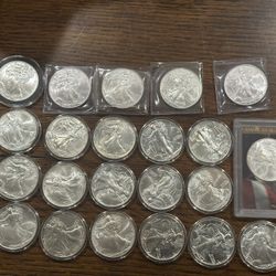 Silver Eagles
