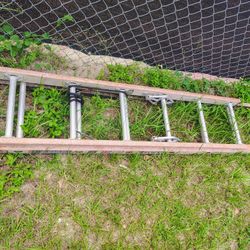 Lunar Ladder For Sale