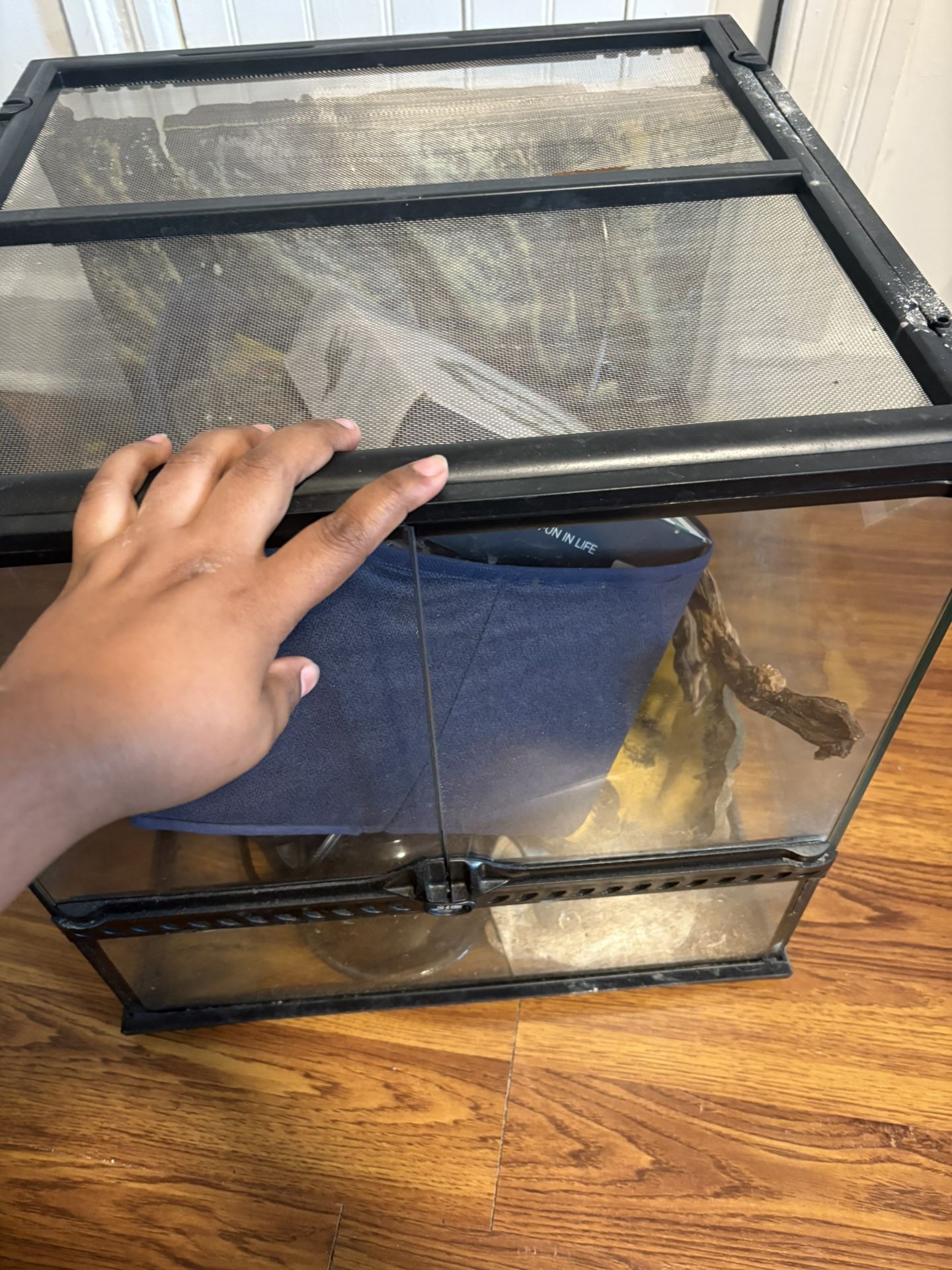 Reptile terrarium