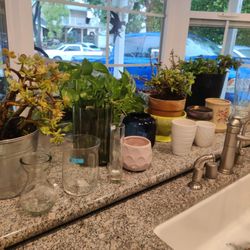 Live Plants, Planting Pots, Vases (Set, Take All)